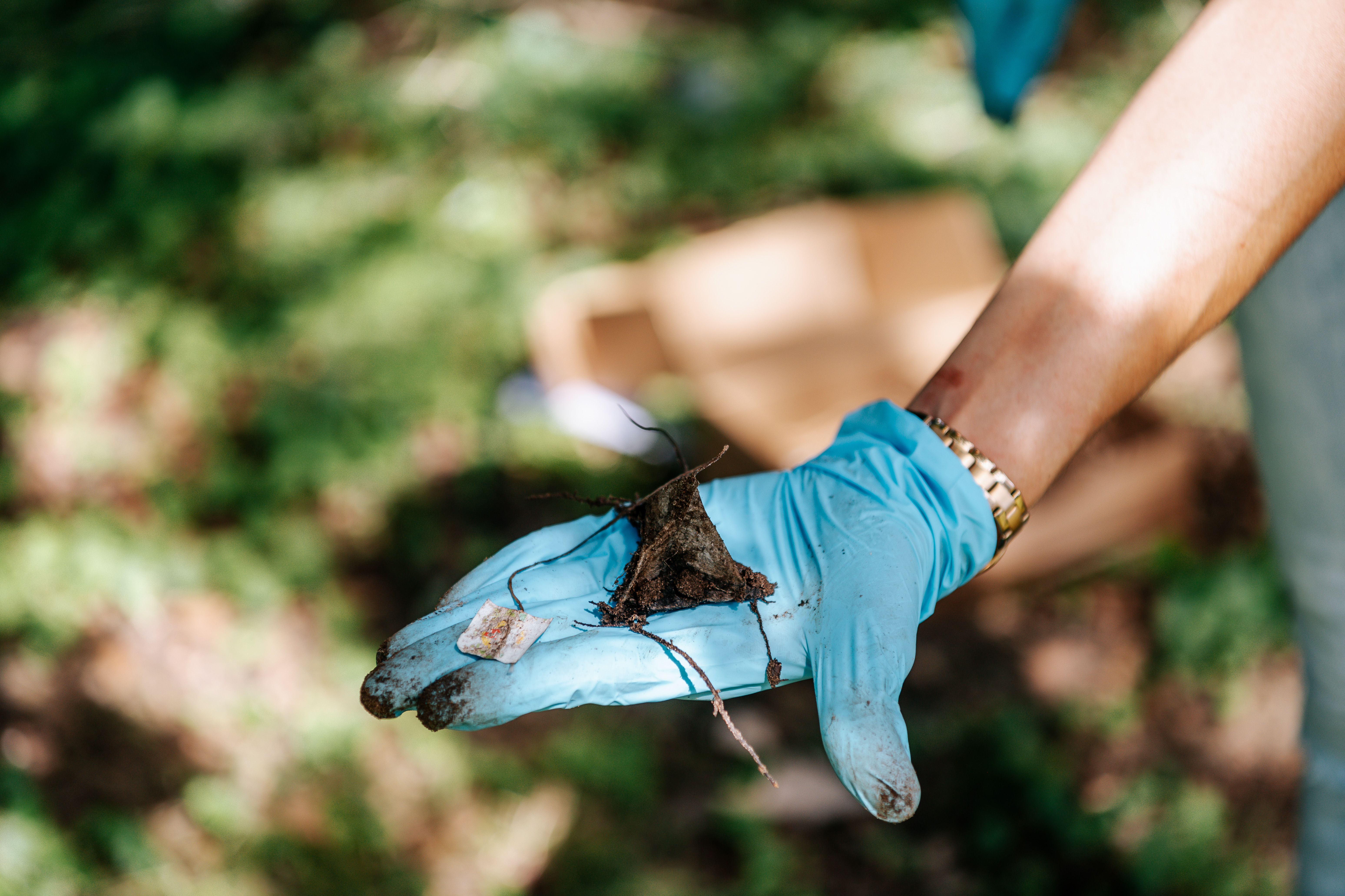 Microbiologie van de bodem