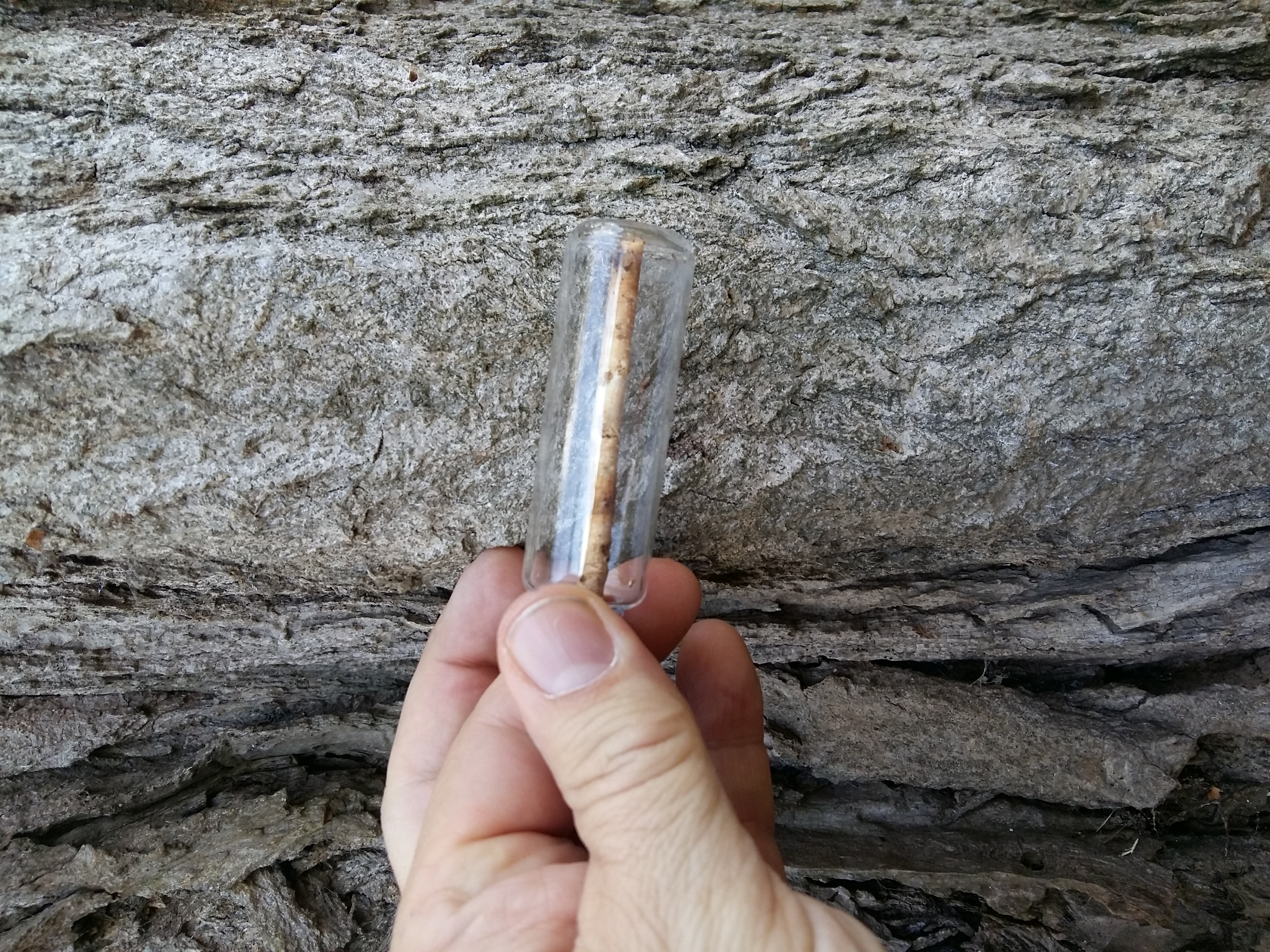 Bodem- en plantstaalname voor fytoremediatie