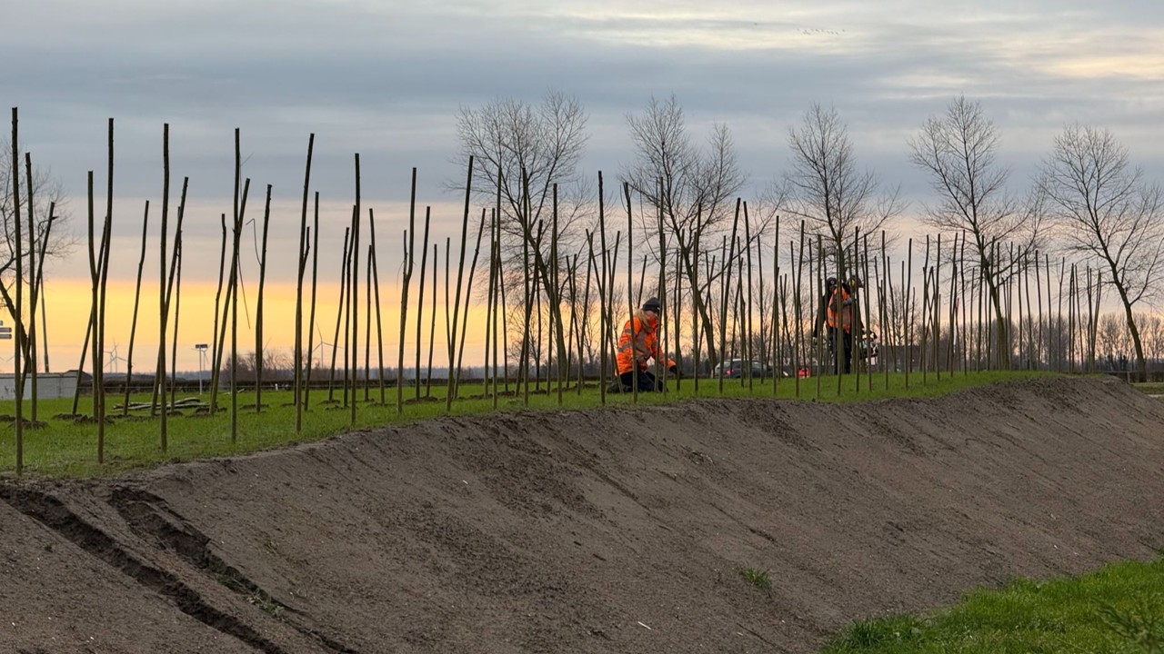 Monitoring van fytoremediatie en natuurlijke attenuatie