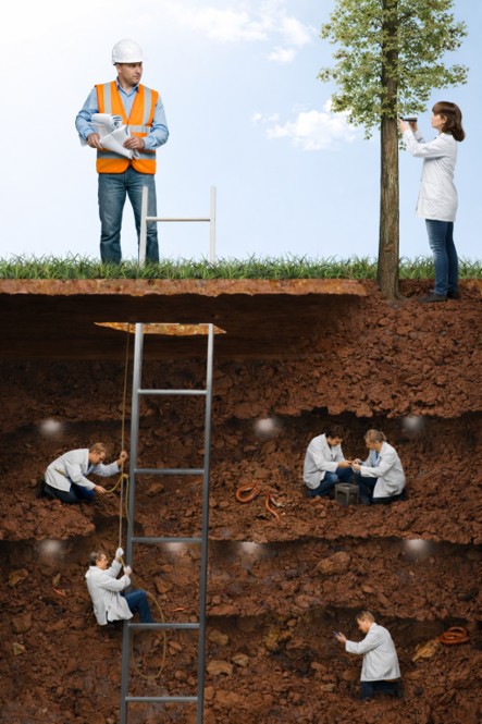 Eco-GenX — veldwerk en interpretatie